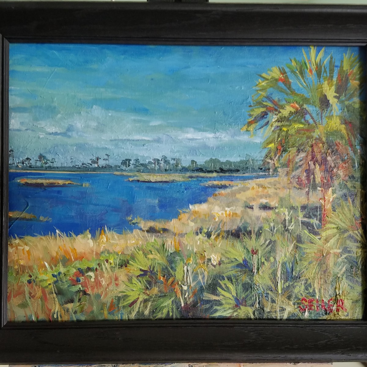 Cape San Blas Vacation by Jill Seiler 