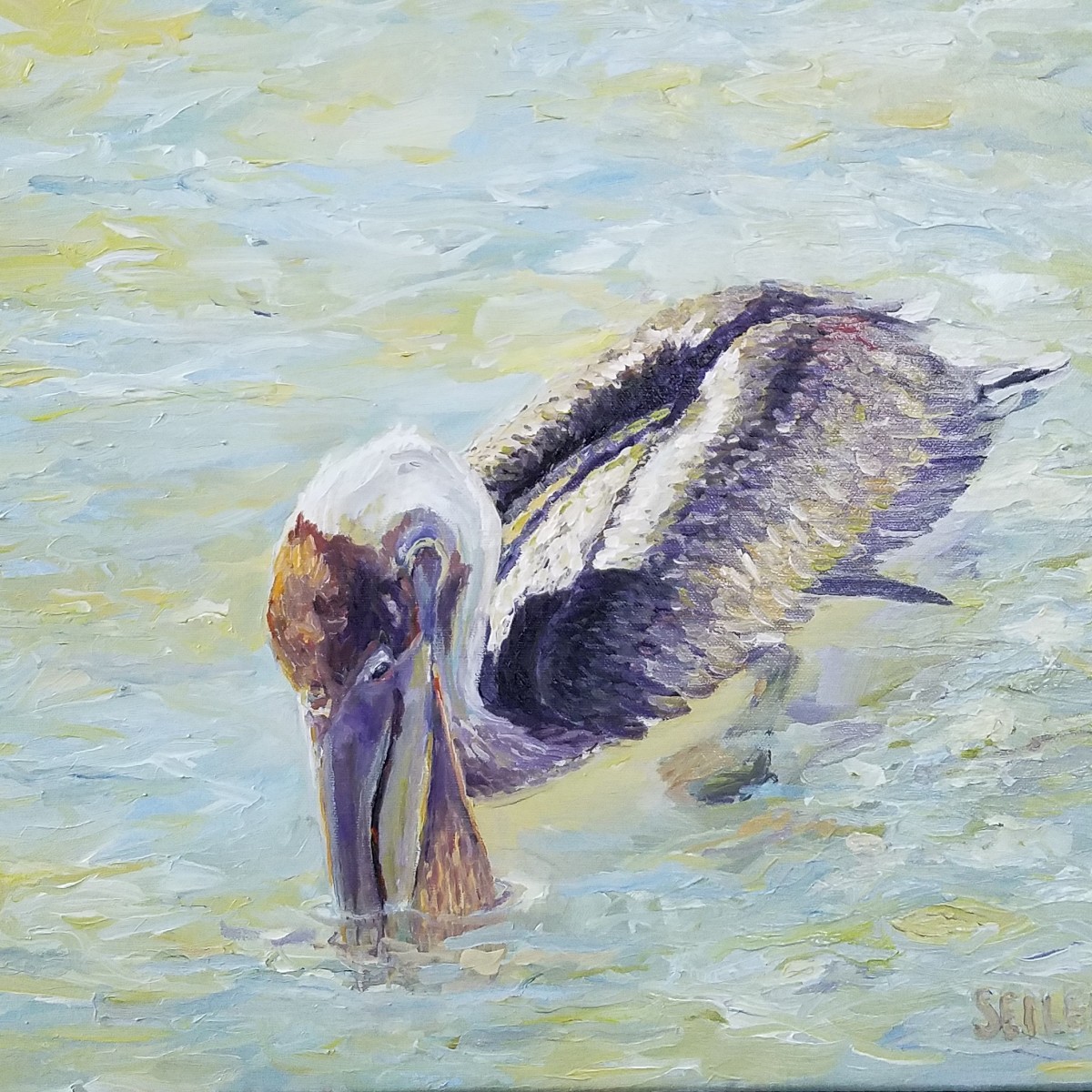Young Pelican Sifting Catch  by Jill Seiler 