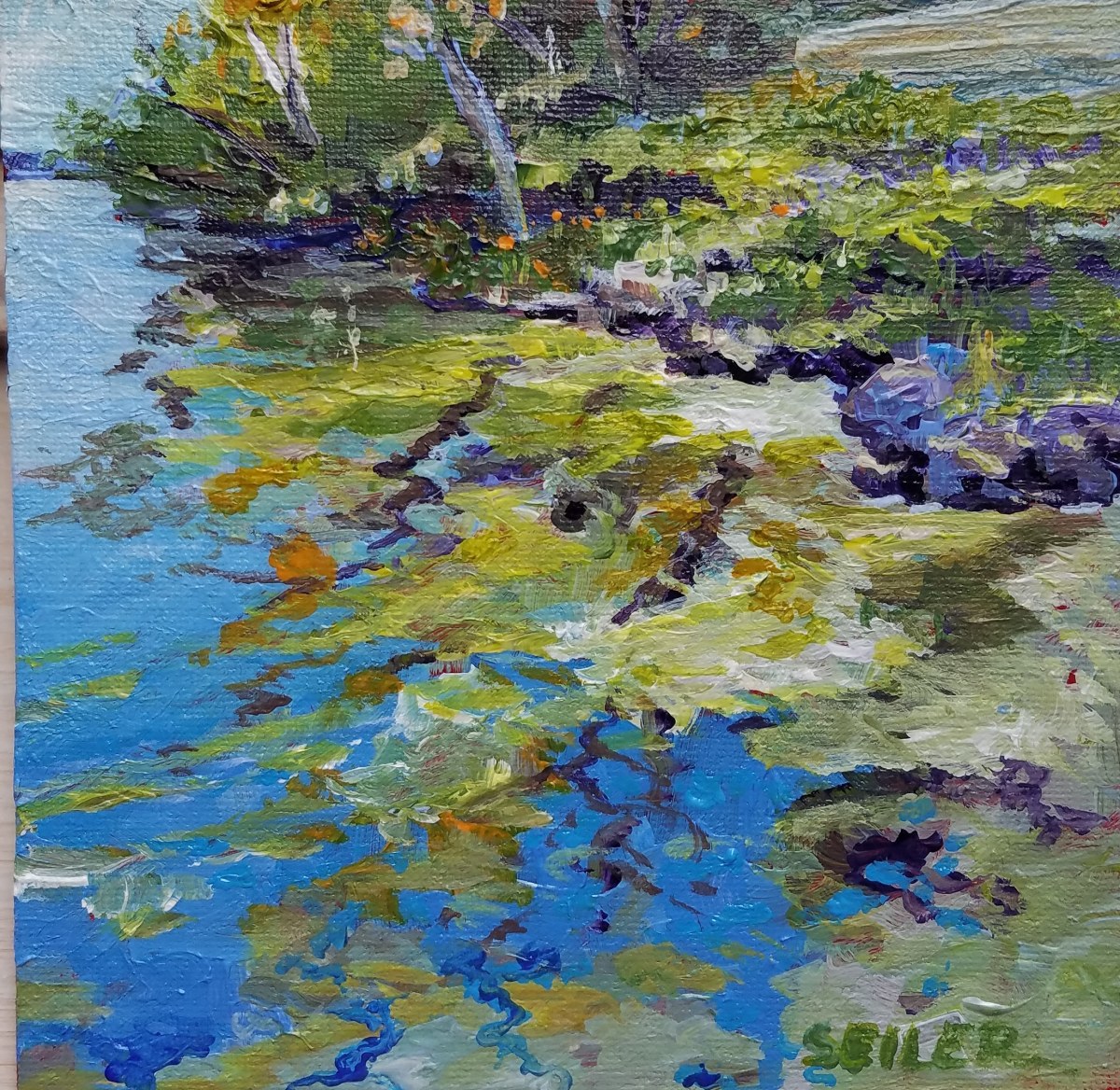 Koronis #1 by Jill Seiler 