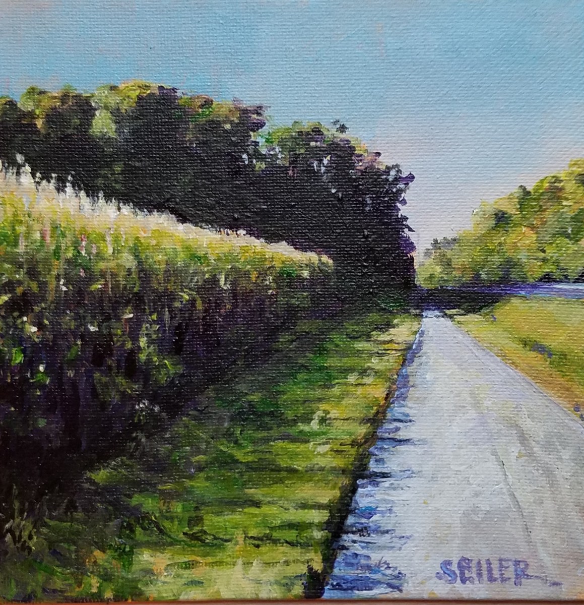 Koronis #6 by Jill Seiler 