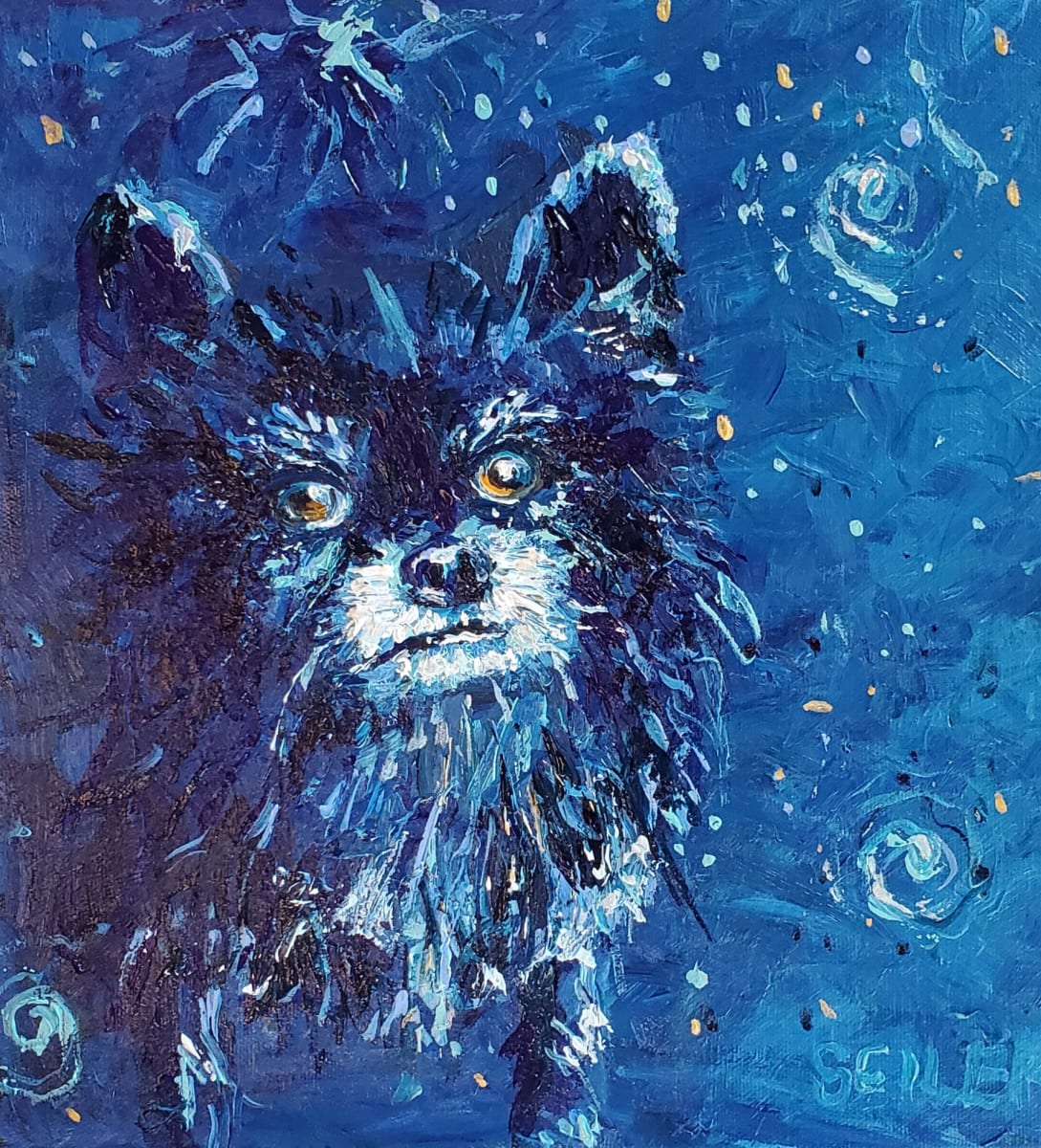 Prissy by Jill Seiler  Image: Commission of sweet Prissy. Little black pomeranian.  So loved. 