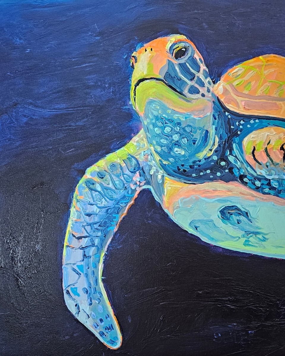 Tiffany Turtle by Jill Seiler  Image: Love this one... she reminds me of Tiffany glass.
