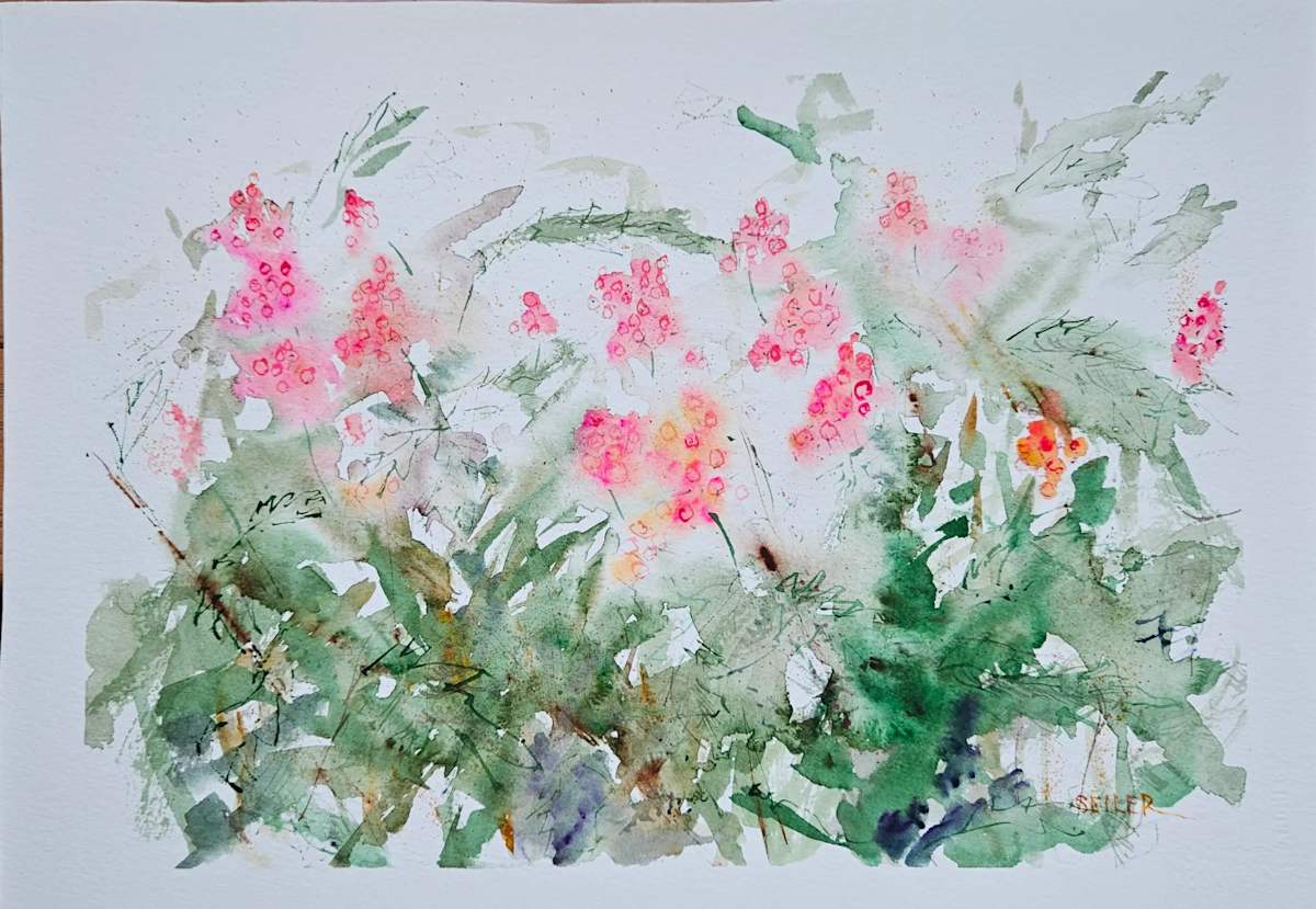 Momma Berries by Jill Seiler  Image: Mommas favorite raspberry 