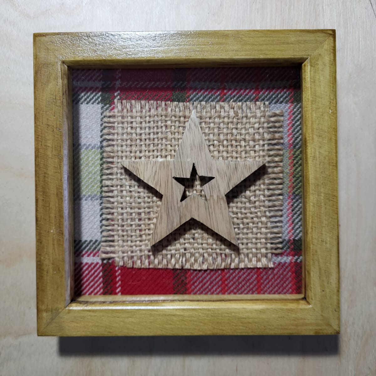 A Scottish Star by Alison Carrie 