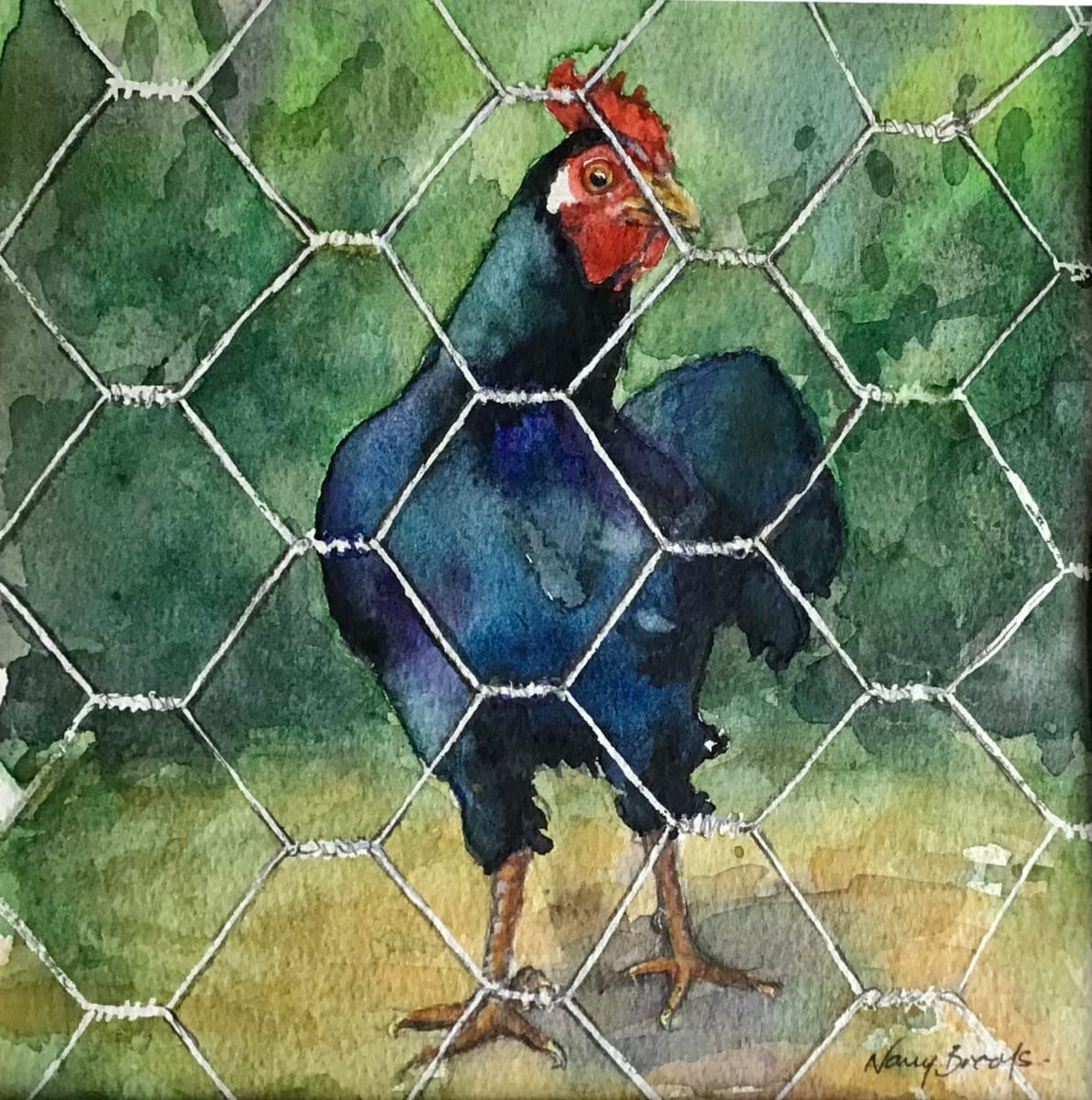 Blue Chicken by Nancy Brooks 