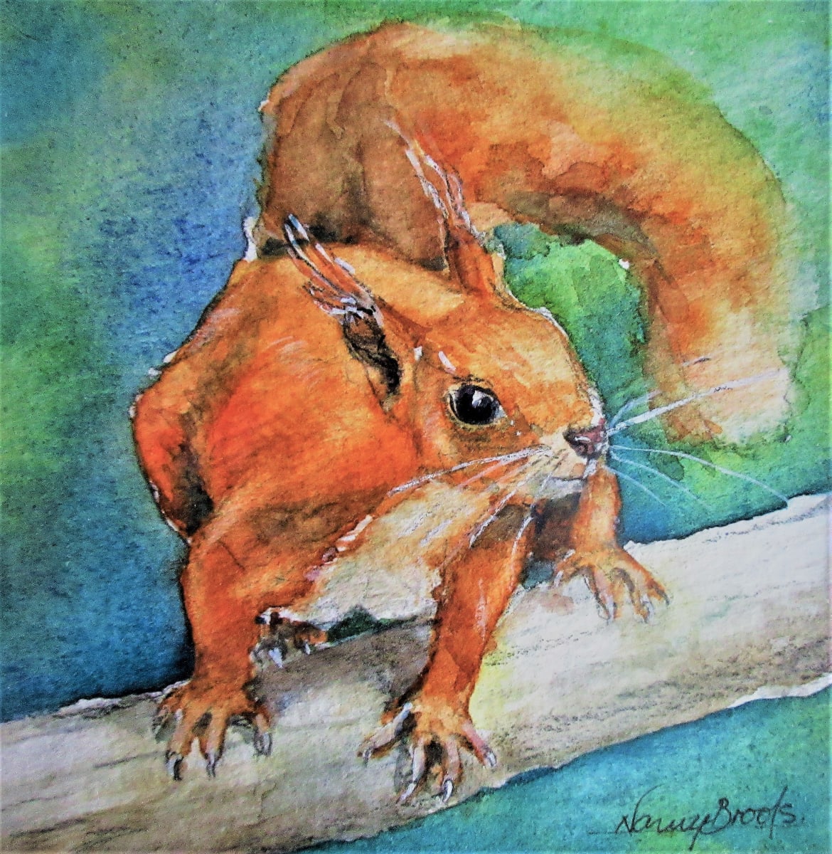 RED SQUIRREL by Nancy Brooks  Image: RED SQUIRREL by Nancy Brooks