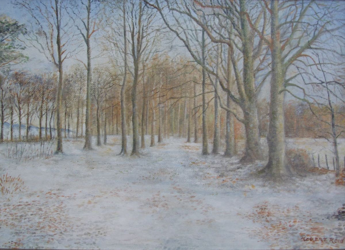 Caddam Woods by Robert Lawrie Reid  Image: Caddam Woods by Robert Reid