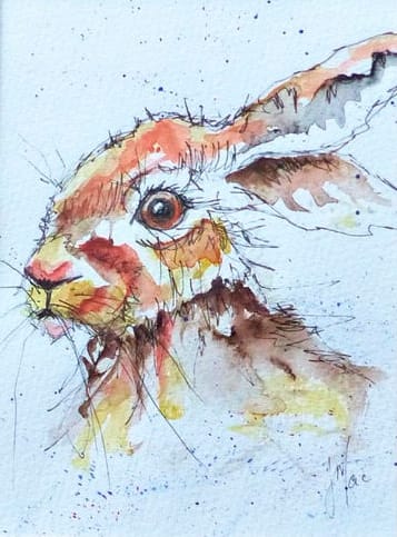 Young Hare by Jeni MacNab 