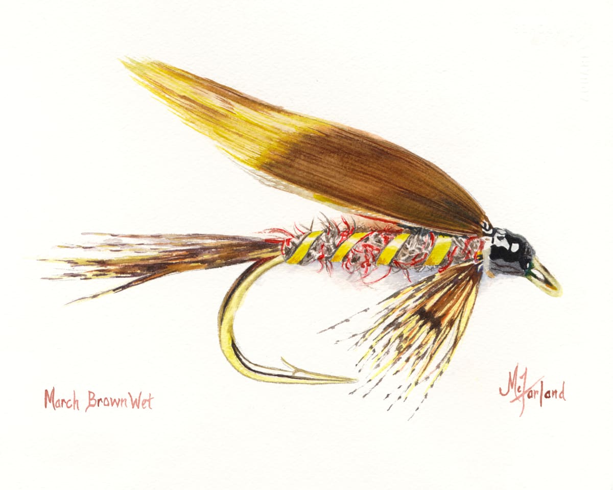 March Brown Wet - Prints Available 