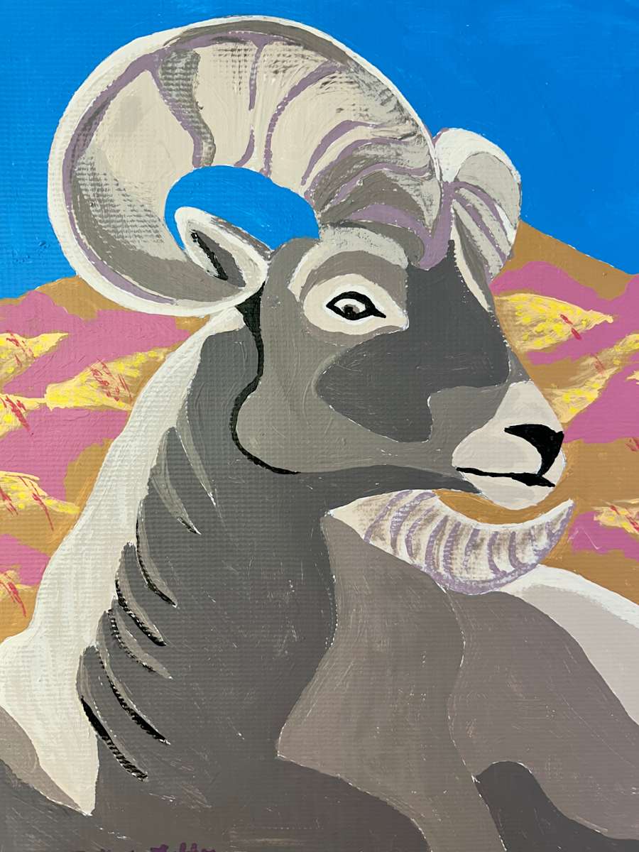 Borrego Big Horn by Bette Ann Libby 