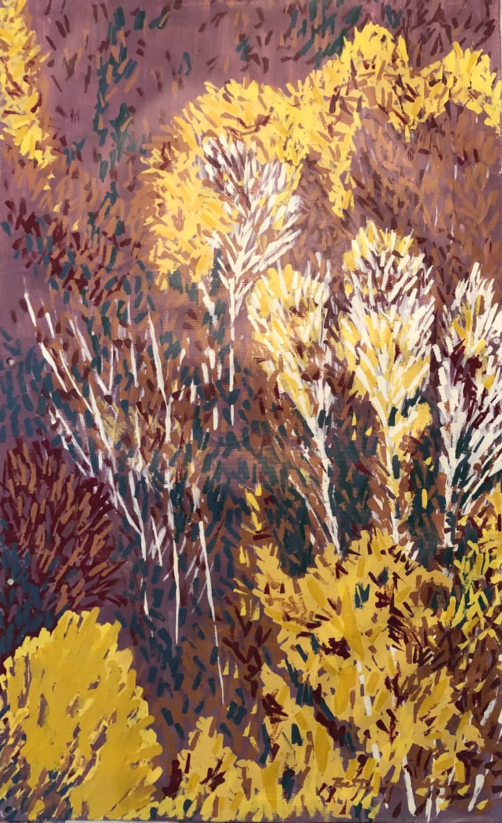 Past Peak by Bette Ann Libby 