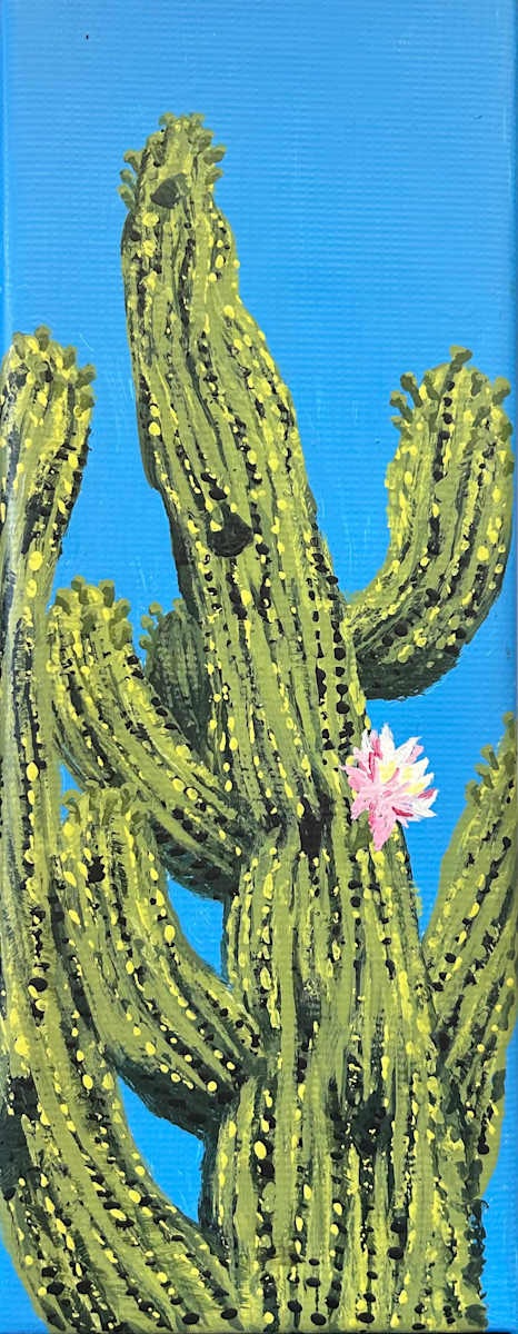 Saguaro Bloom by Bette Ann Libby 