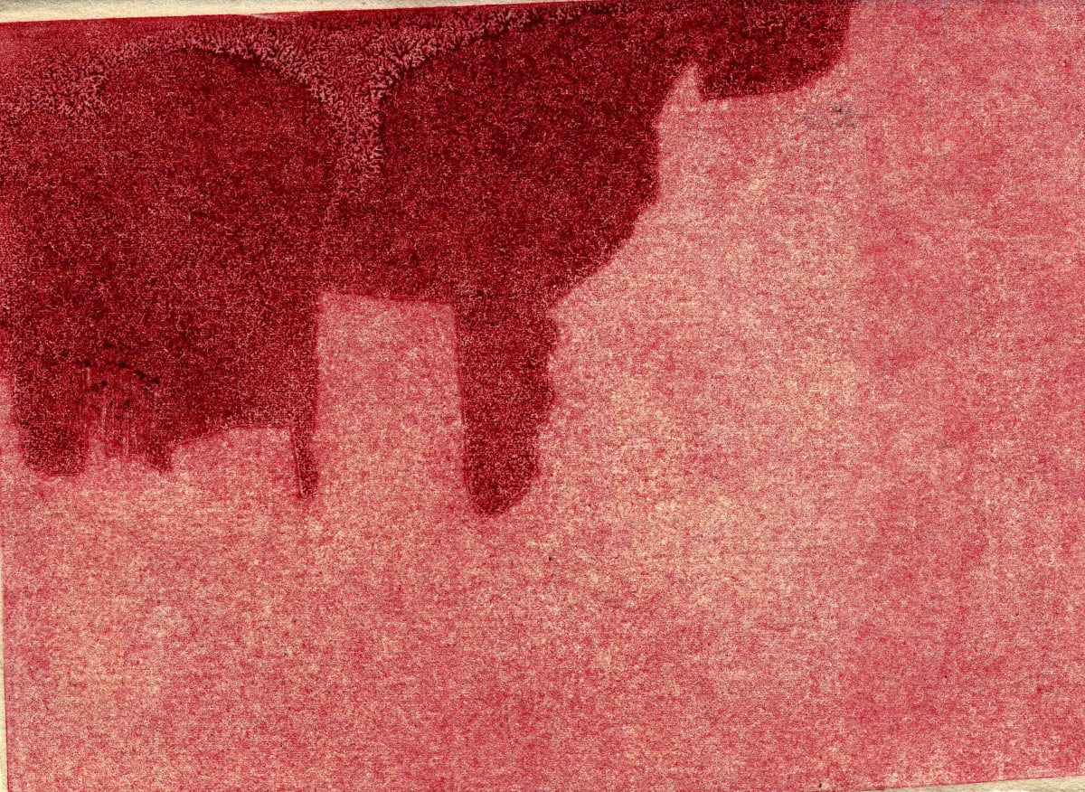 Contaminação II, Untitled 14 by Juliana Matsumura 