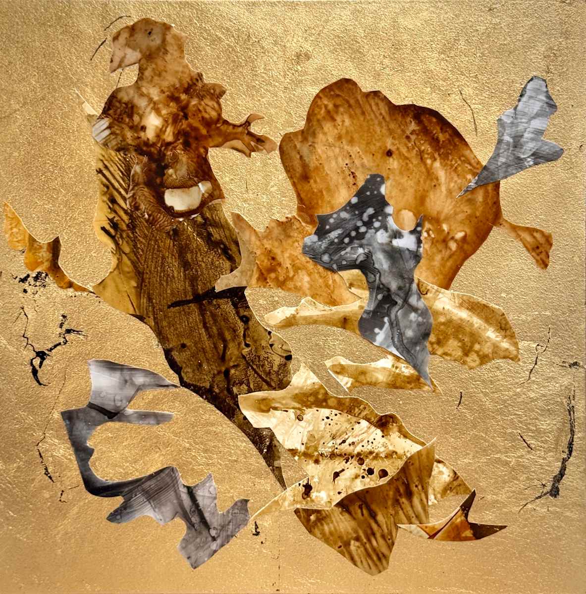 Beautiful Without Having To Make Sense by Ellen Hathaway, Image 1.