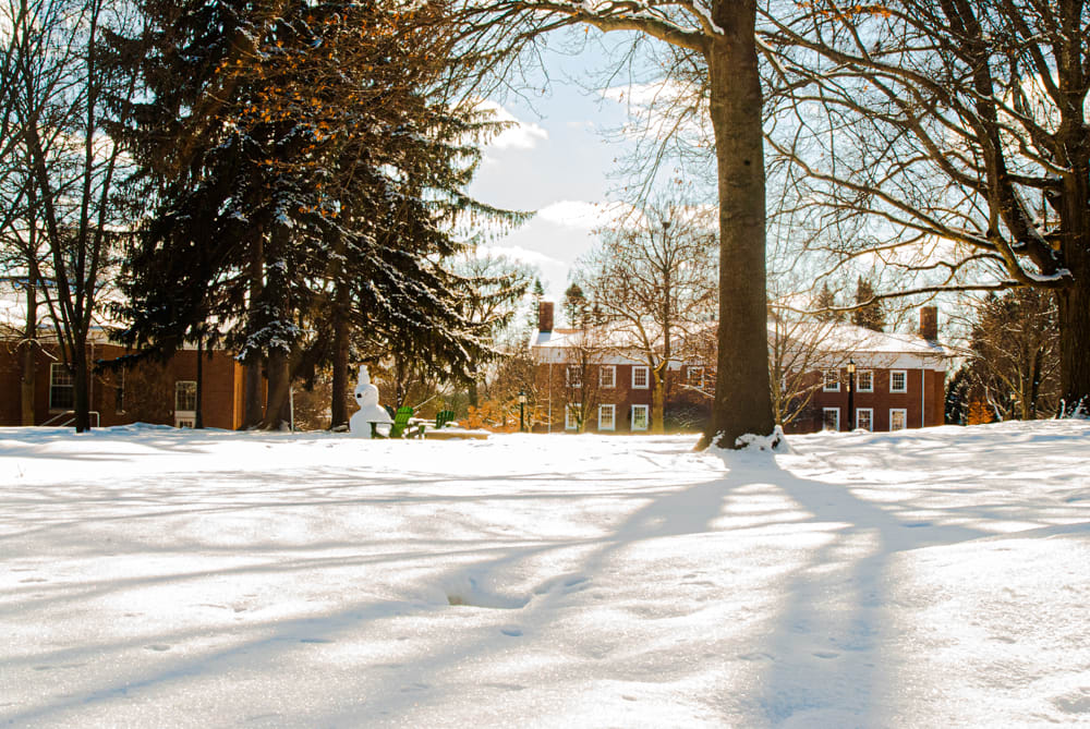 Cozy Afternoon by Photography 