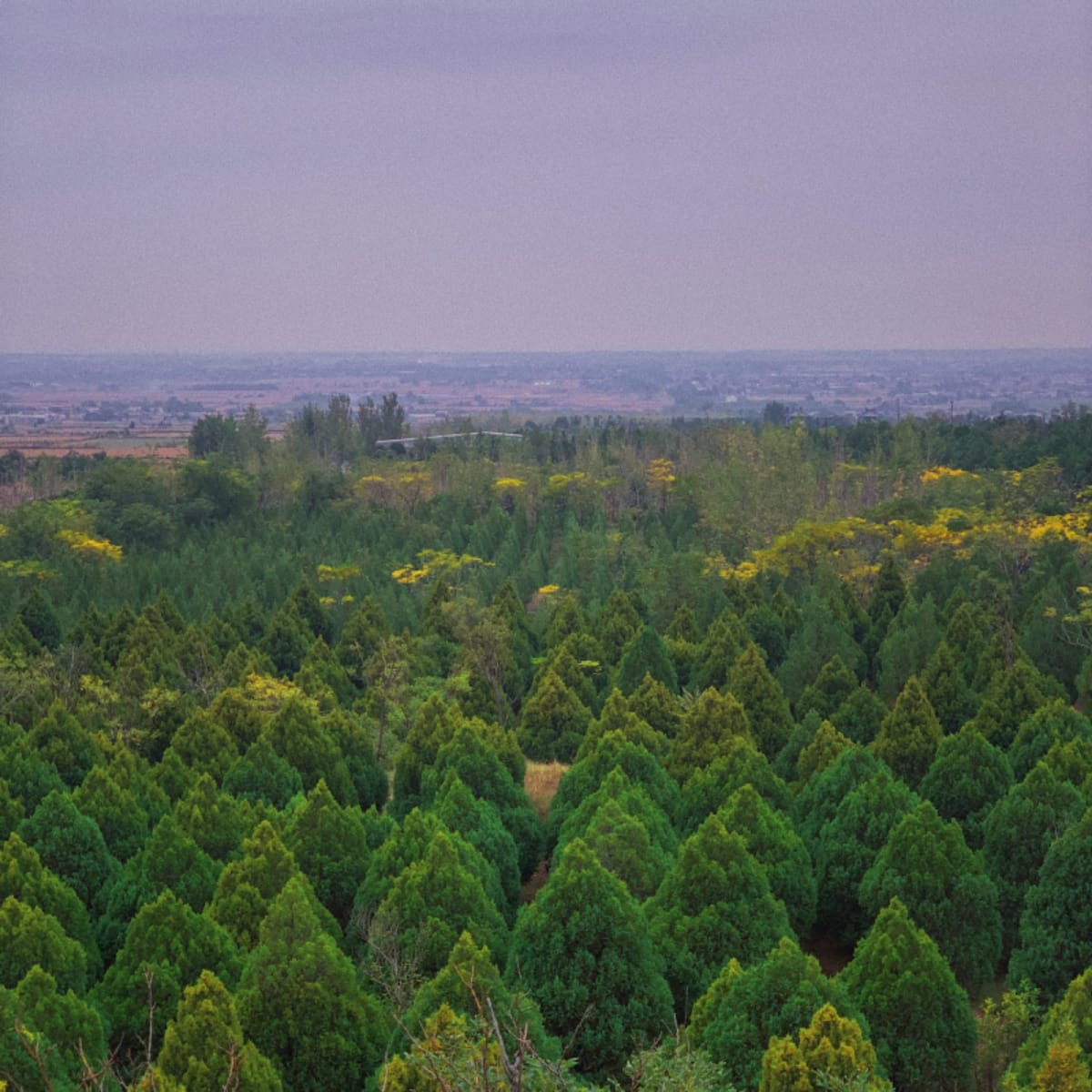 Untitled #4 by Photography, Image 1.