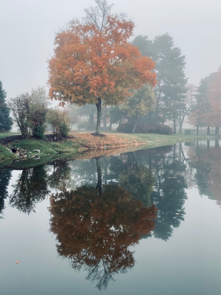 Untitled 8 by Photography, Image 1.