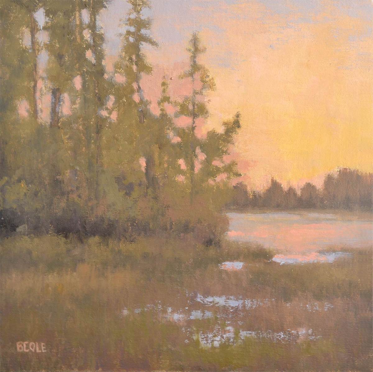 All Quiet by Beth Cole 