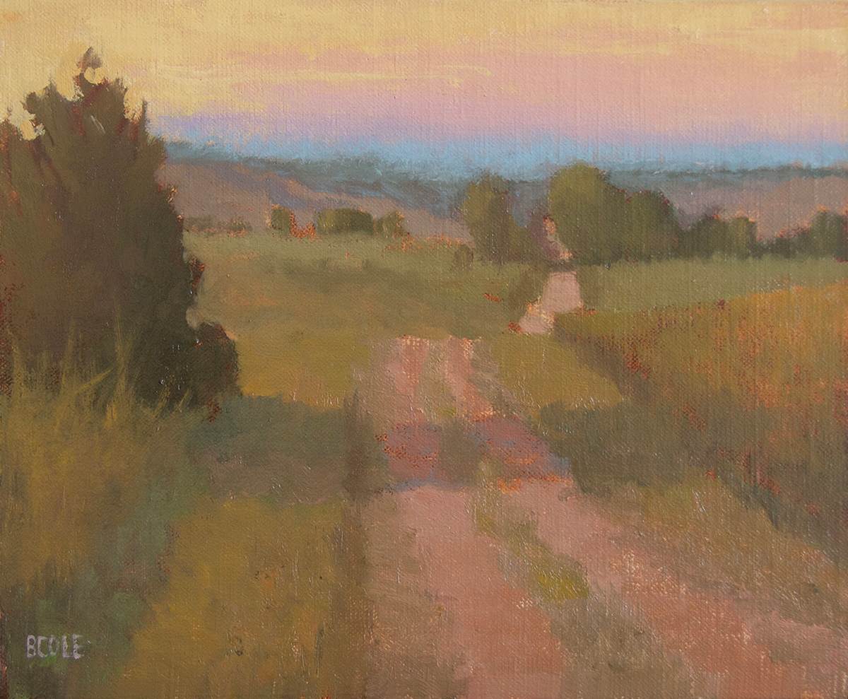 Almost Home by Beth Cole 