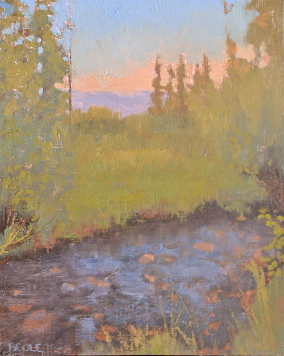 Approaching Dusk Study by Beth Cole, Image 1.