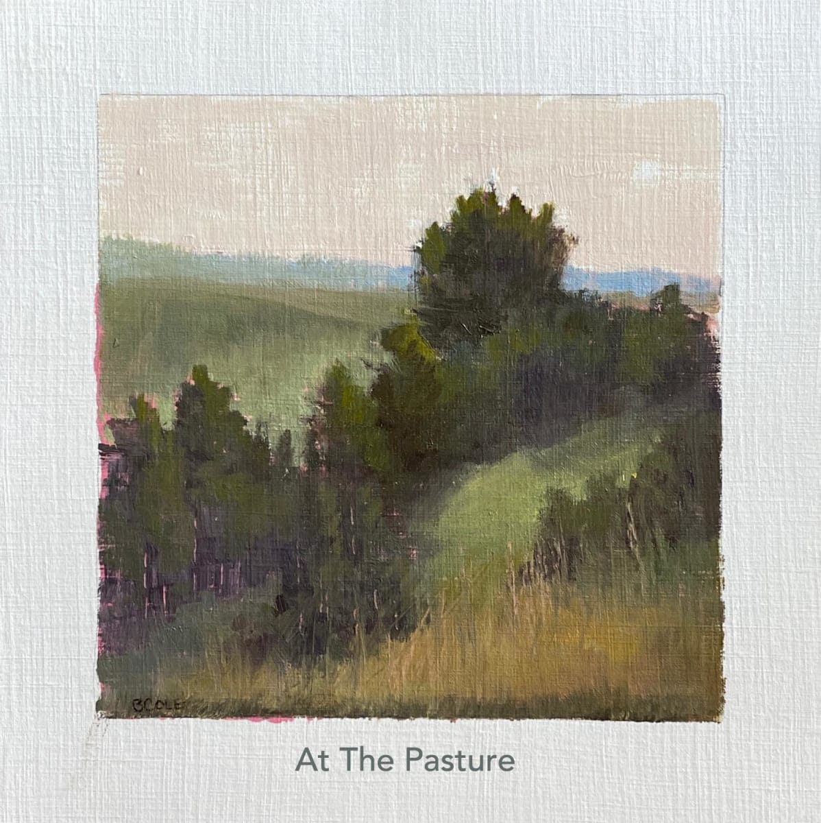 At The Pasture, Image 1.