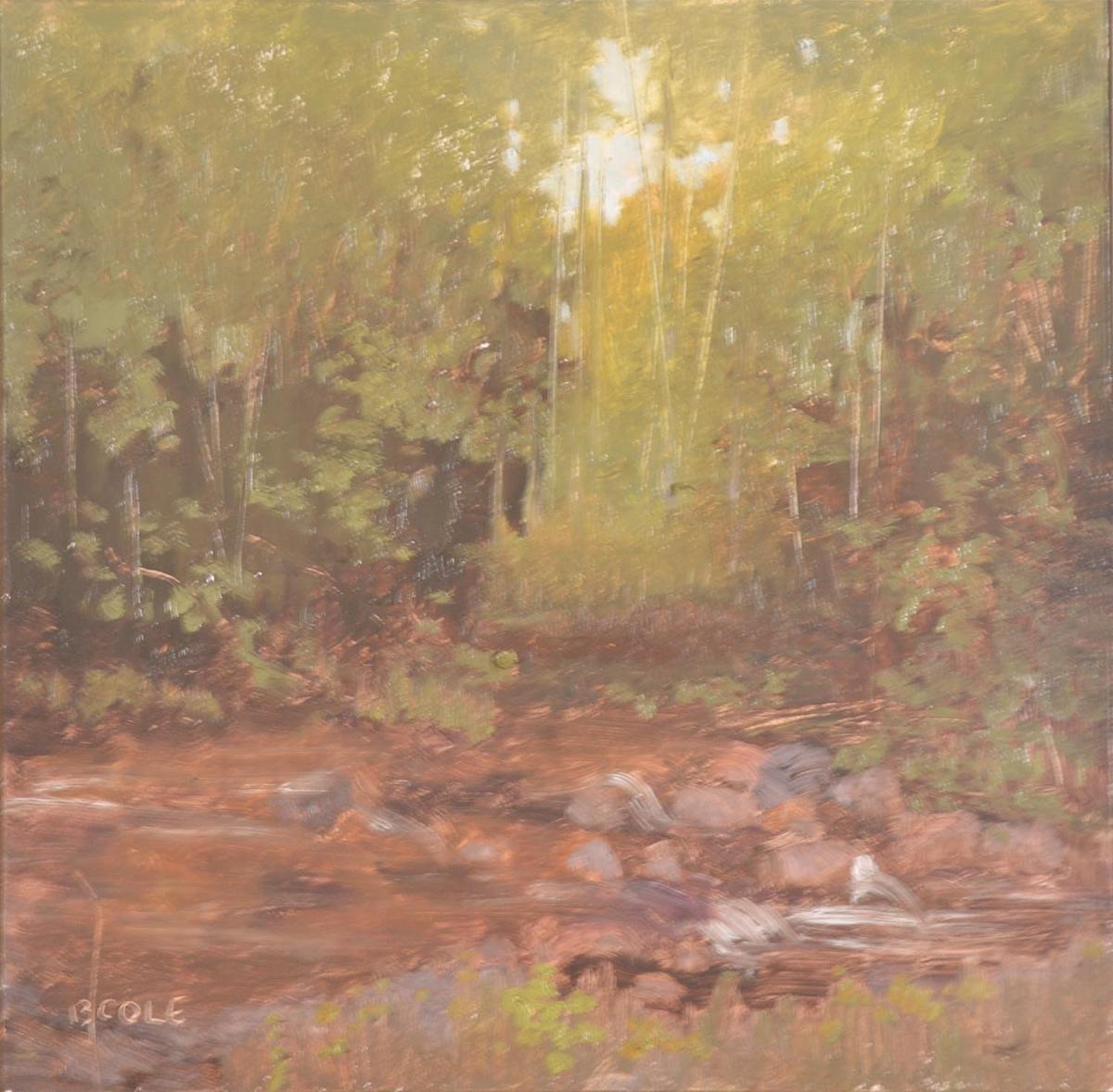 Barrett Creek Plein Air by Beth Cole 