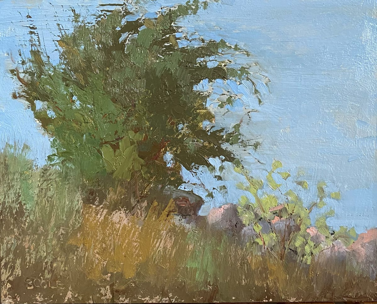 Windy by Beth Cole, Image 1.