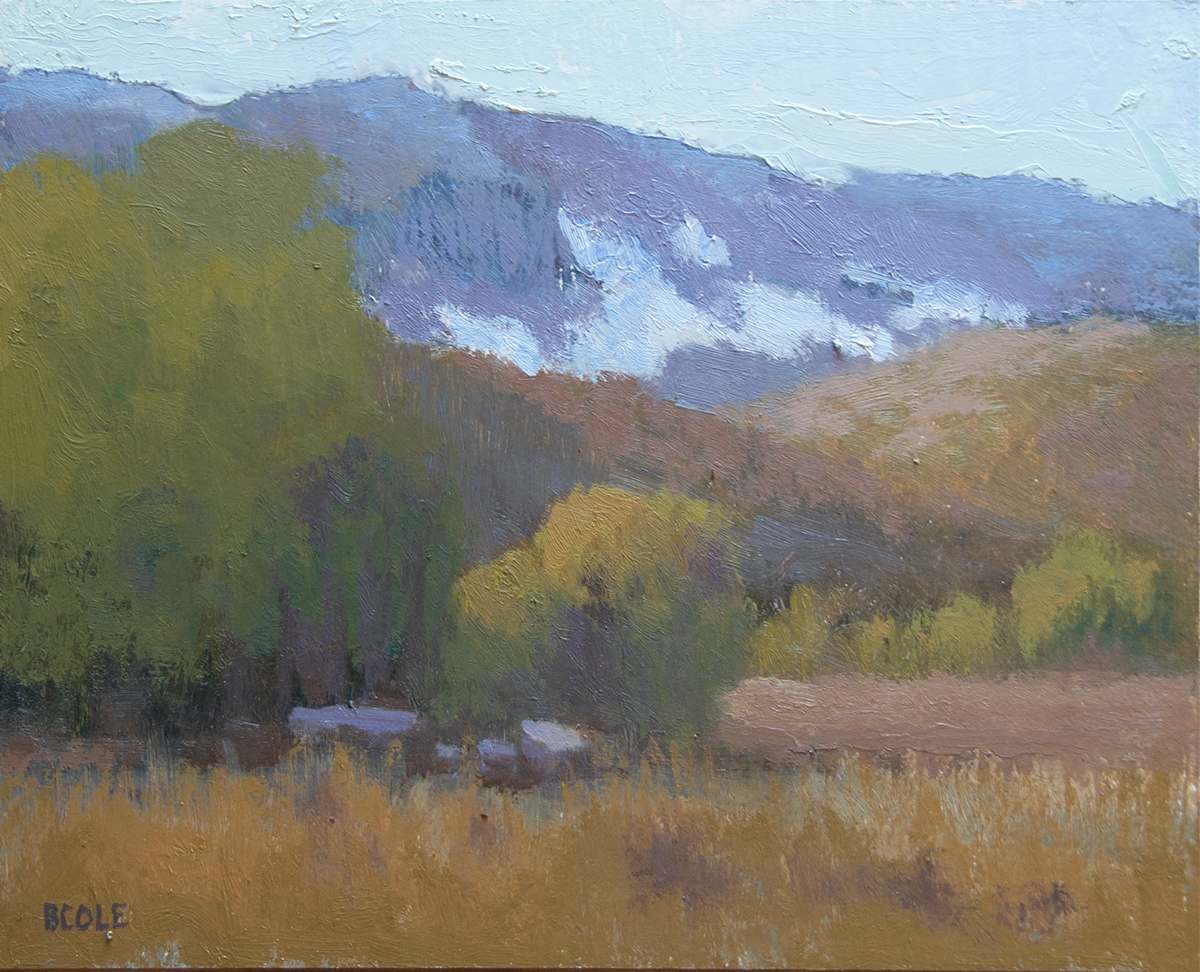 Big Horn Meadow by Beth Cole 