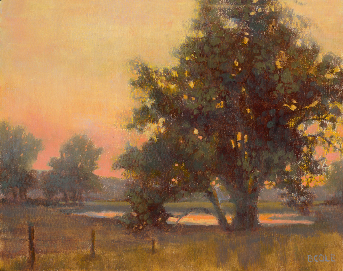 Rooted - PRINTS AVAILABLE by Beth Cole 