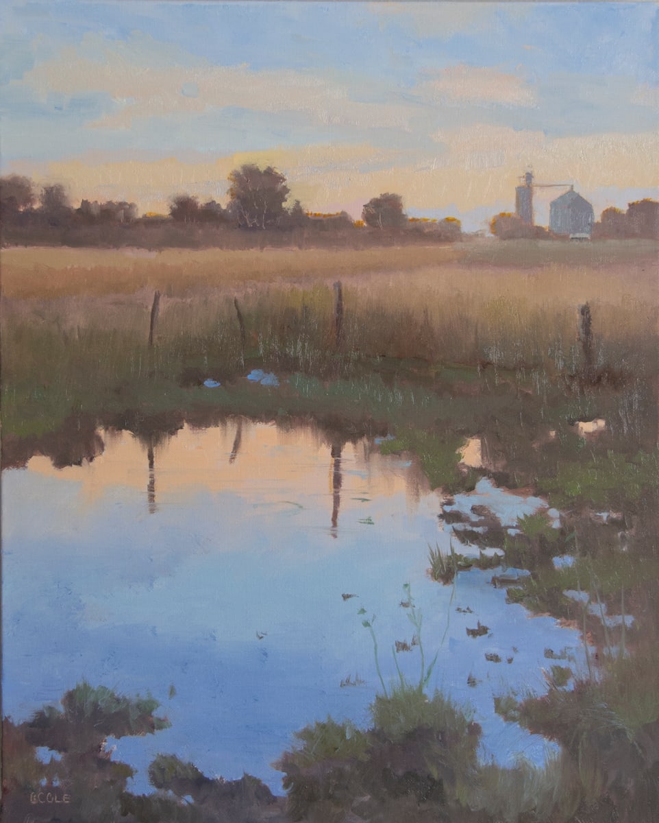 Pasture Pond by Beth Cole 