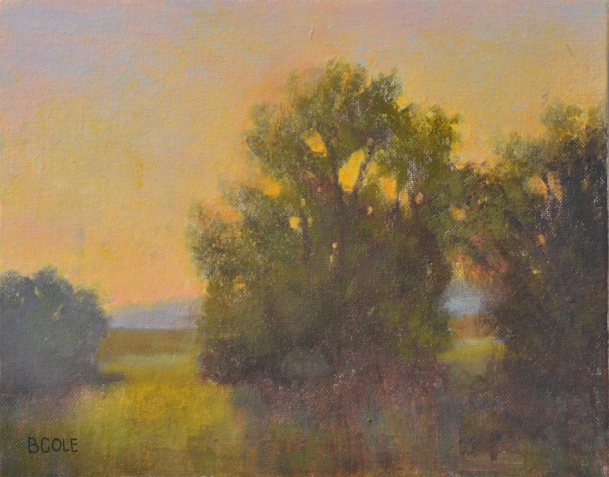 Face To The Sun by Beth Cole 