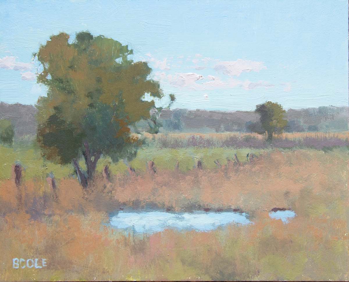 Fence Line by Beth Cole 
