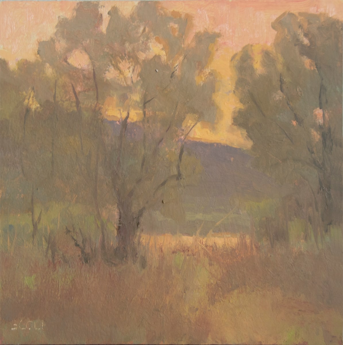 Final Glimpse by Beth Cole 