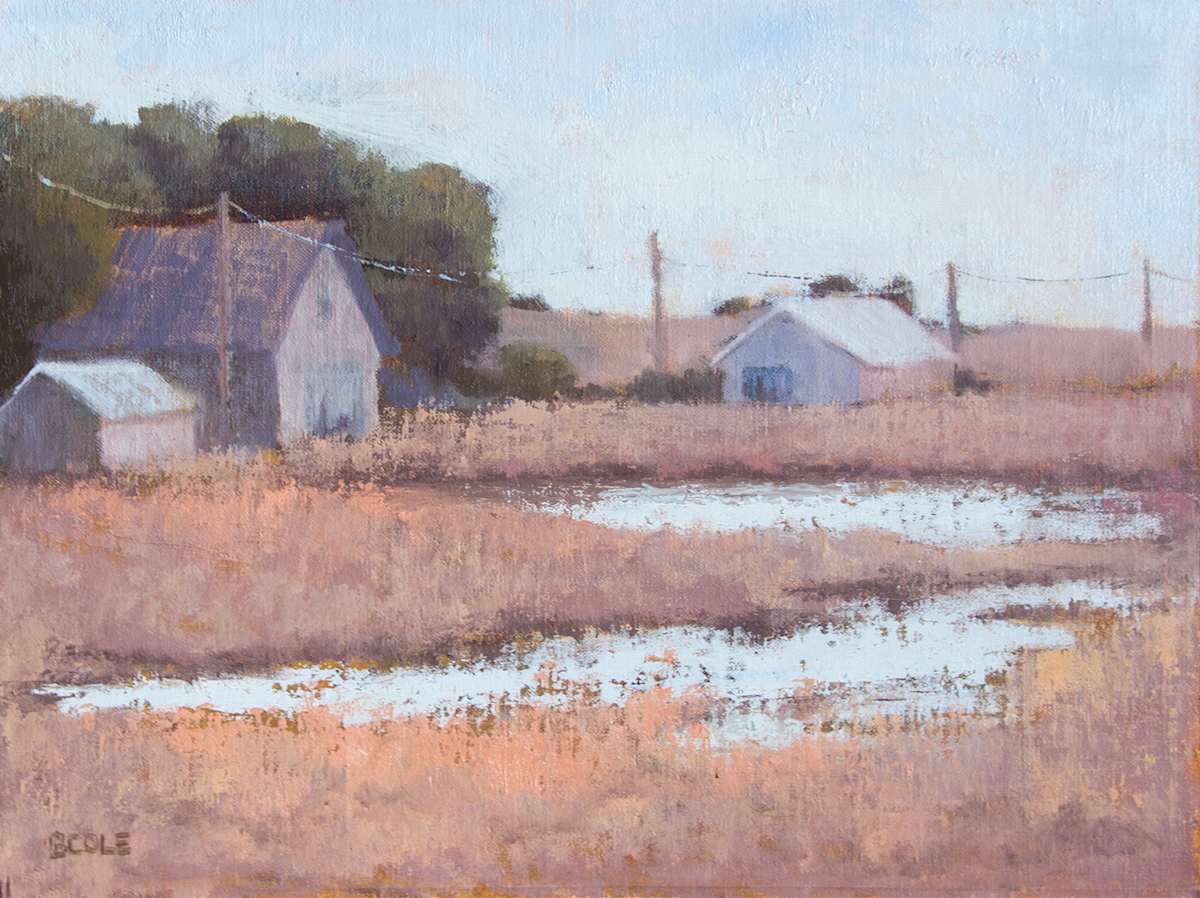 Flooded Farm by Beth Cole, Image 1.