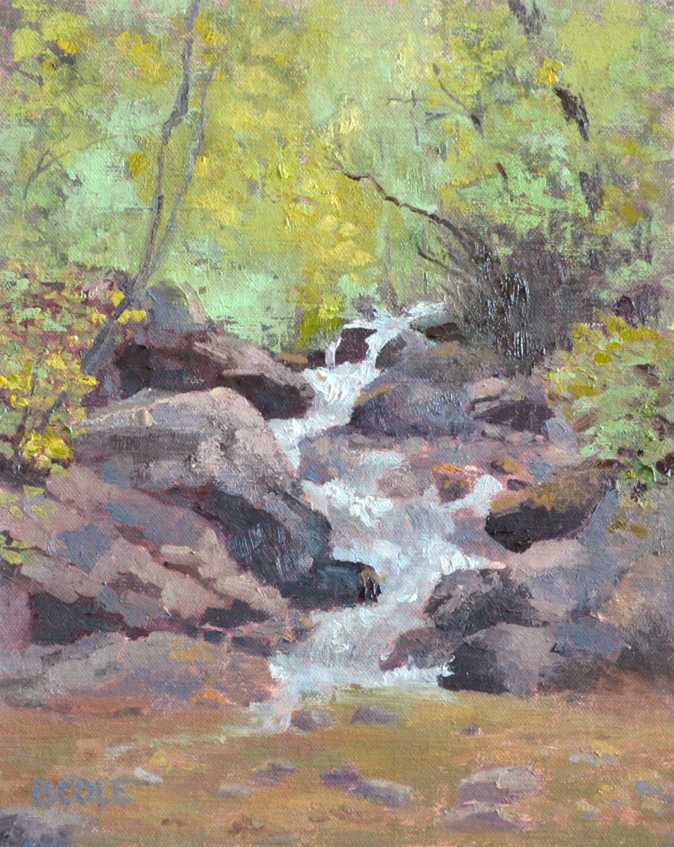 Flow by Beth Cole, Image 1.