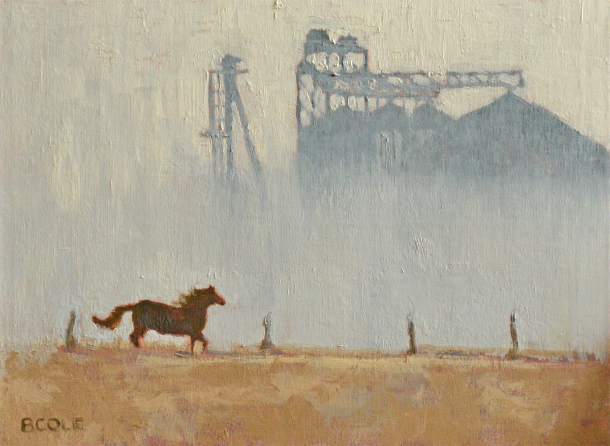 Freedom by Beth Cole 