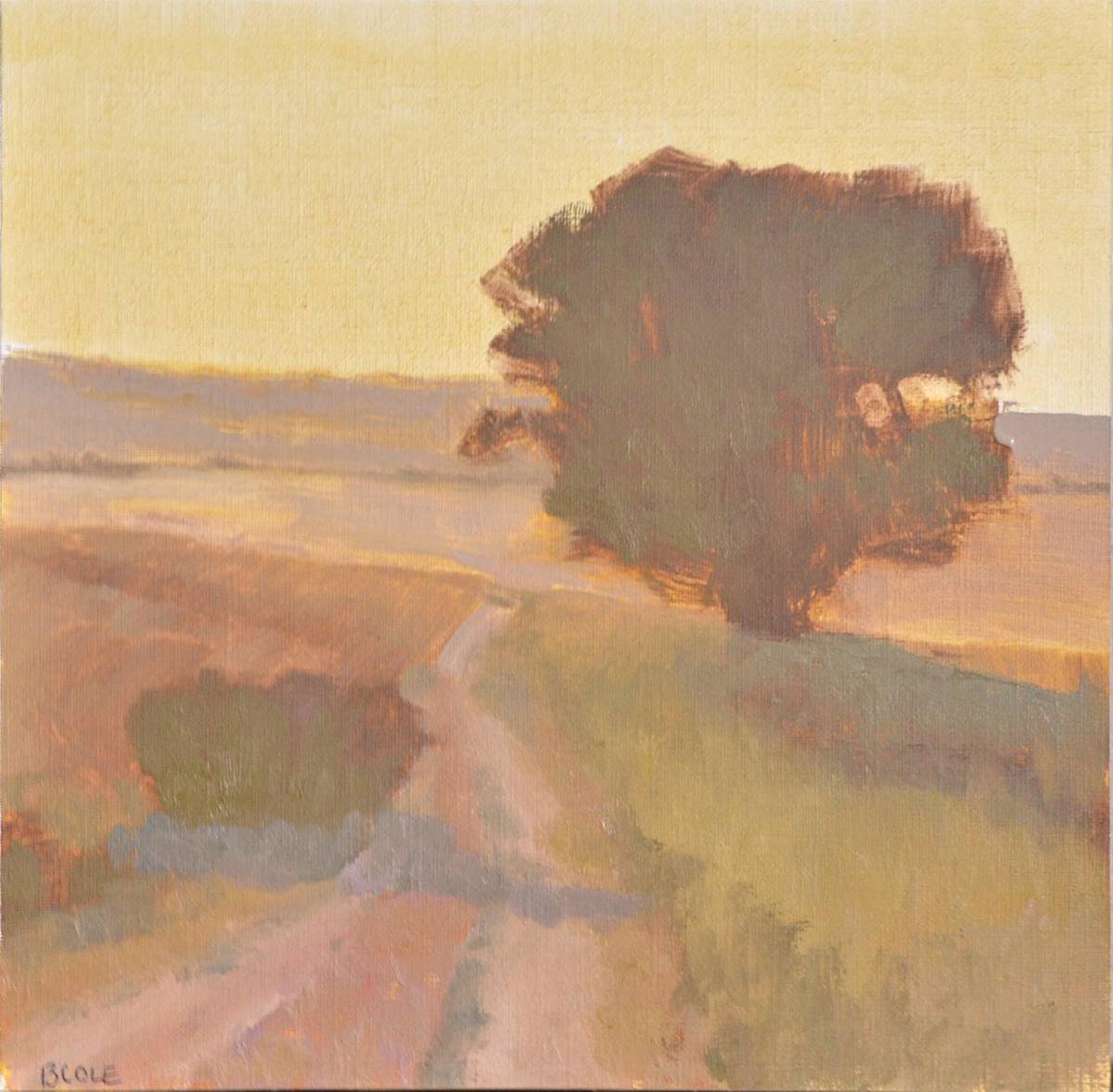 Golden Hour Trail by Beth Cole 