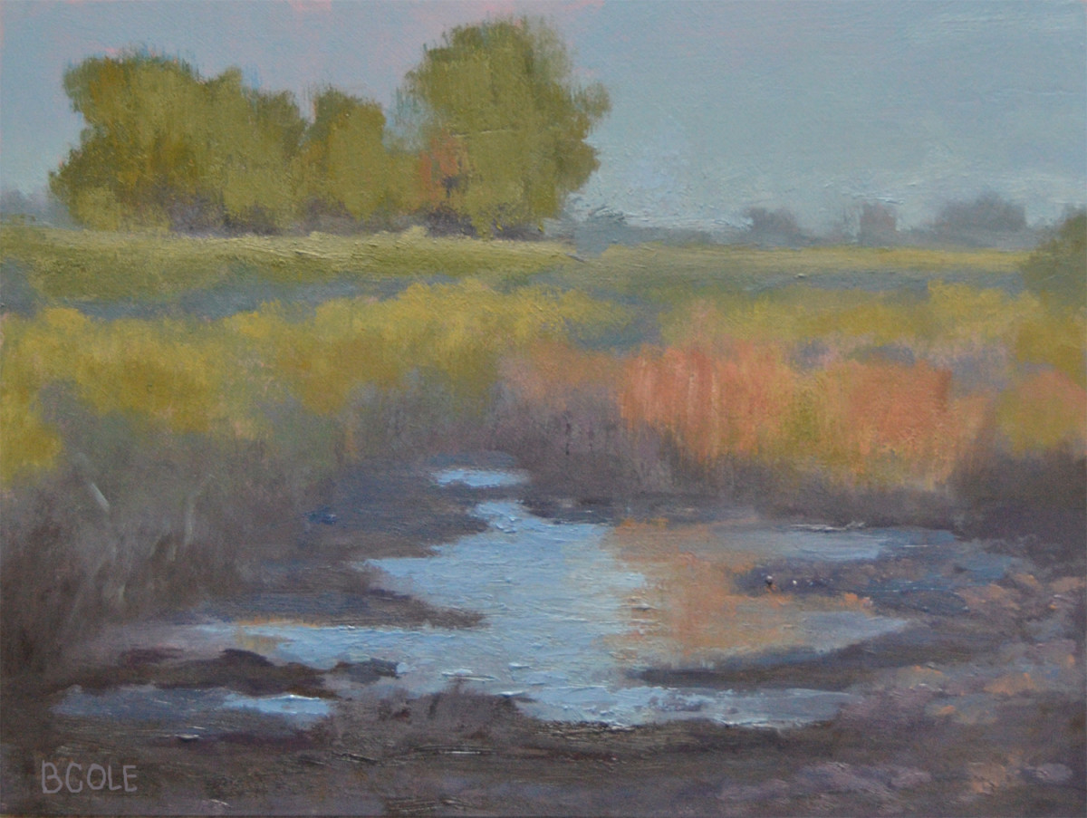 Hidden Beauty by Beth Cole 