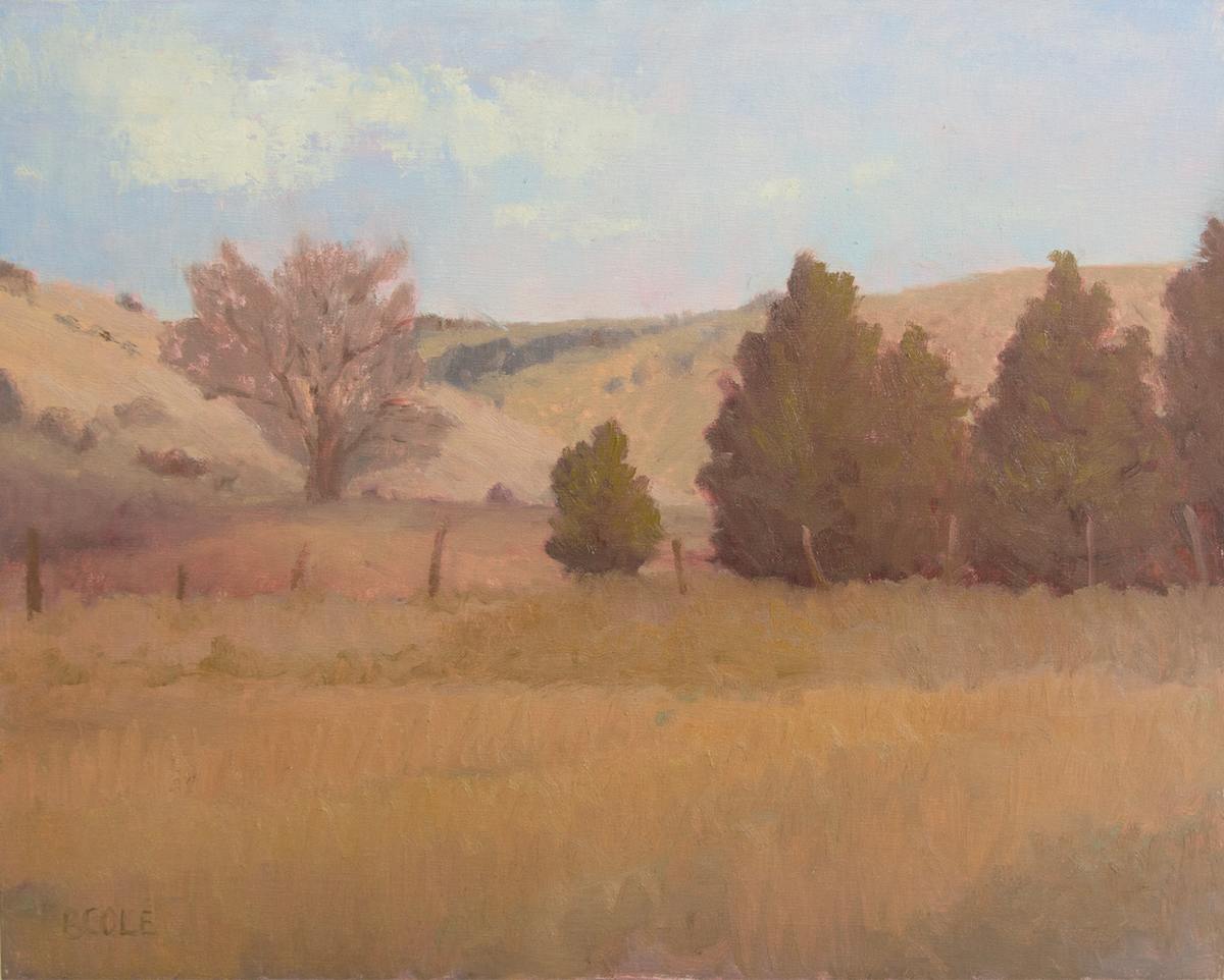 Homestead Pasture by Beth Cole, Image 1.
