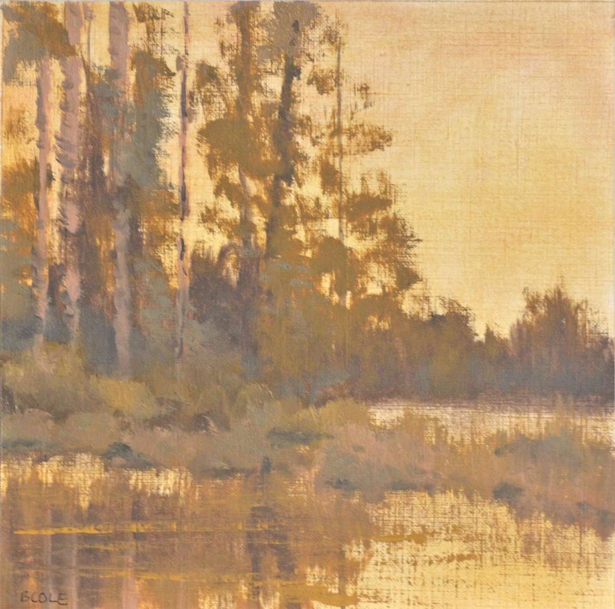 Illuminated by Beth Cole 