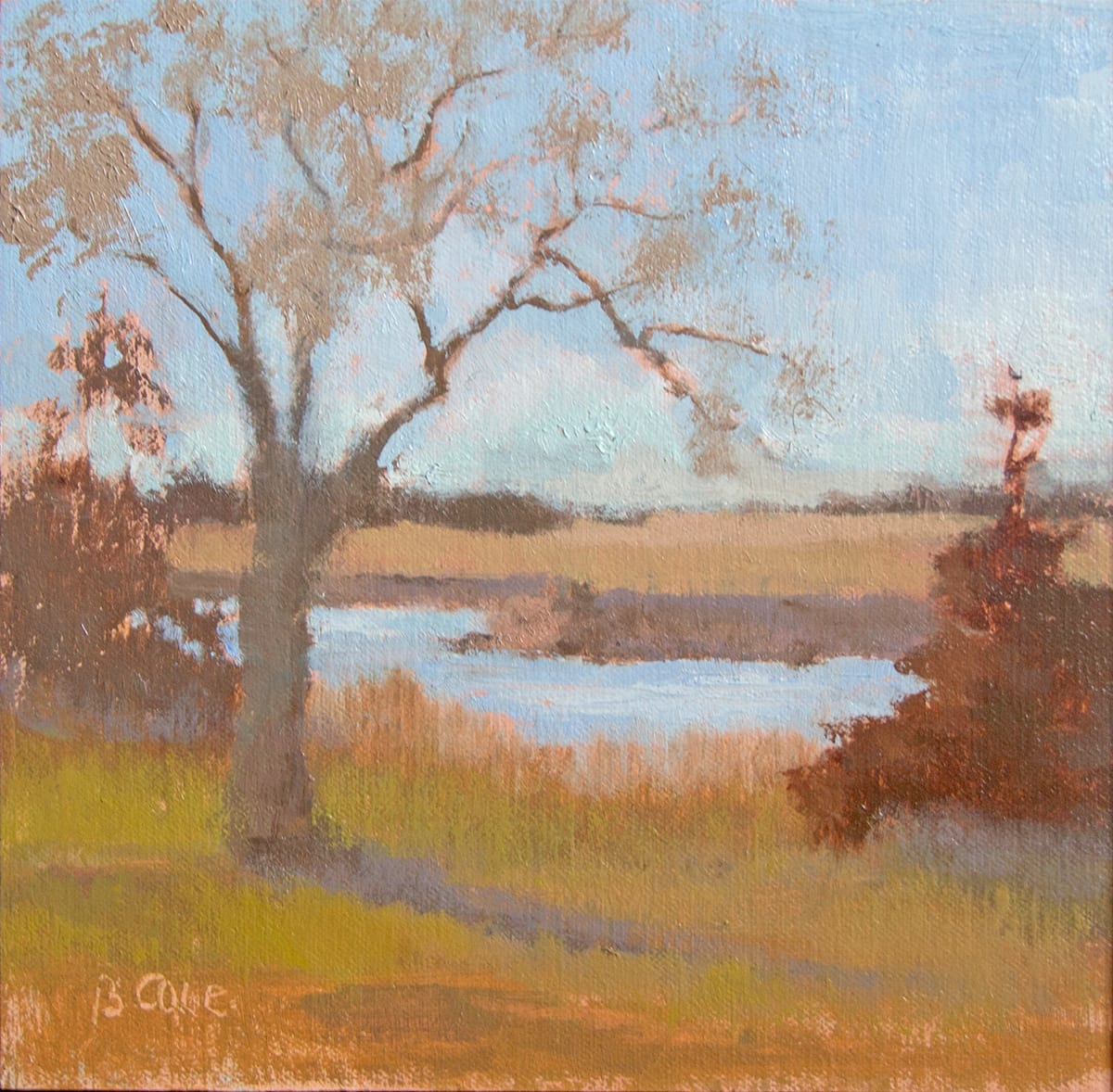 Middle Loup Plein Air by Beth Cole 