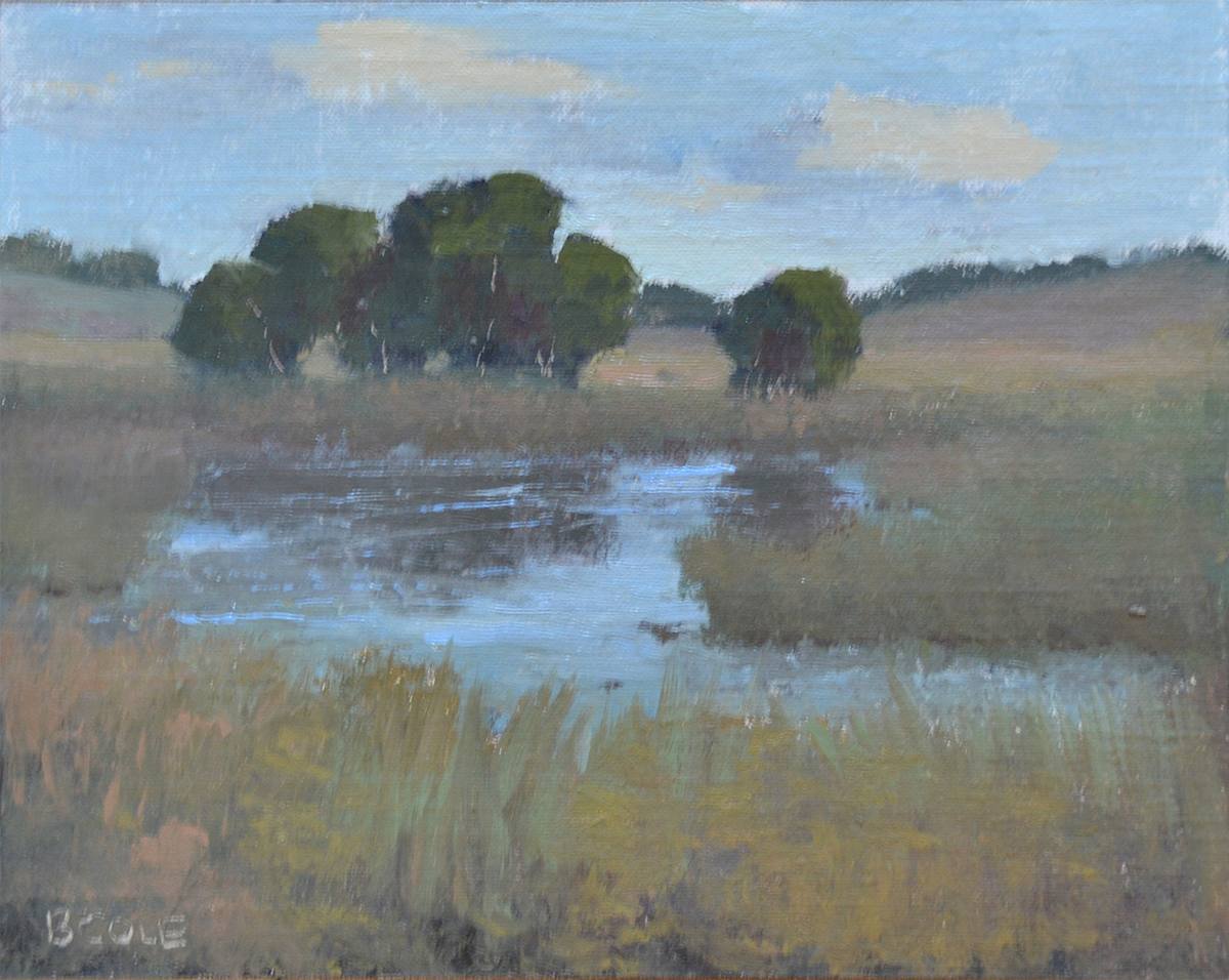 Milburn Marsh by Beth Cole 