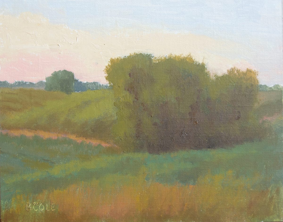 Morning Air Plein Air by Beth Cole 