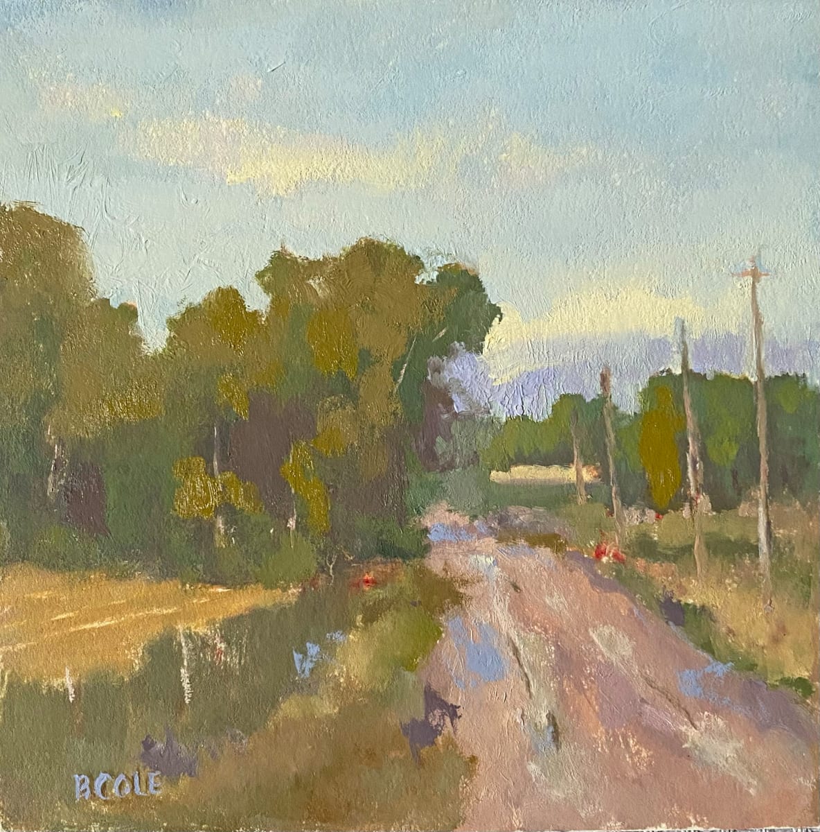 North Road (Plein Air) by Beth Cole 