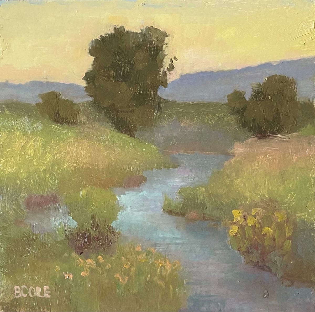 Paint Niobrara A Little Pond by Beth Cole 