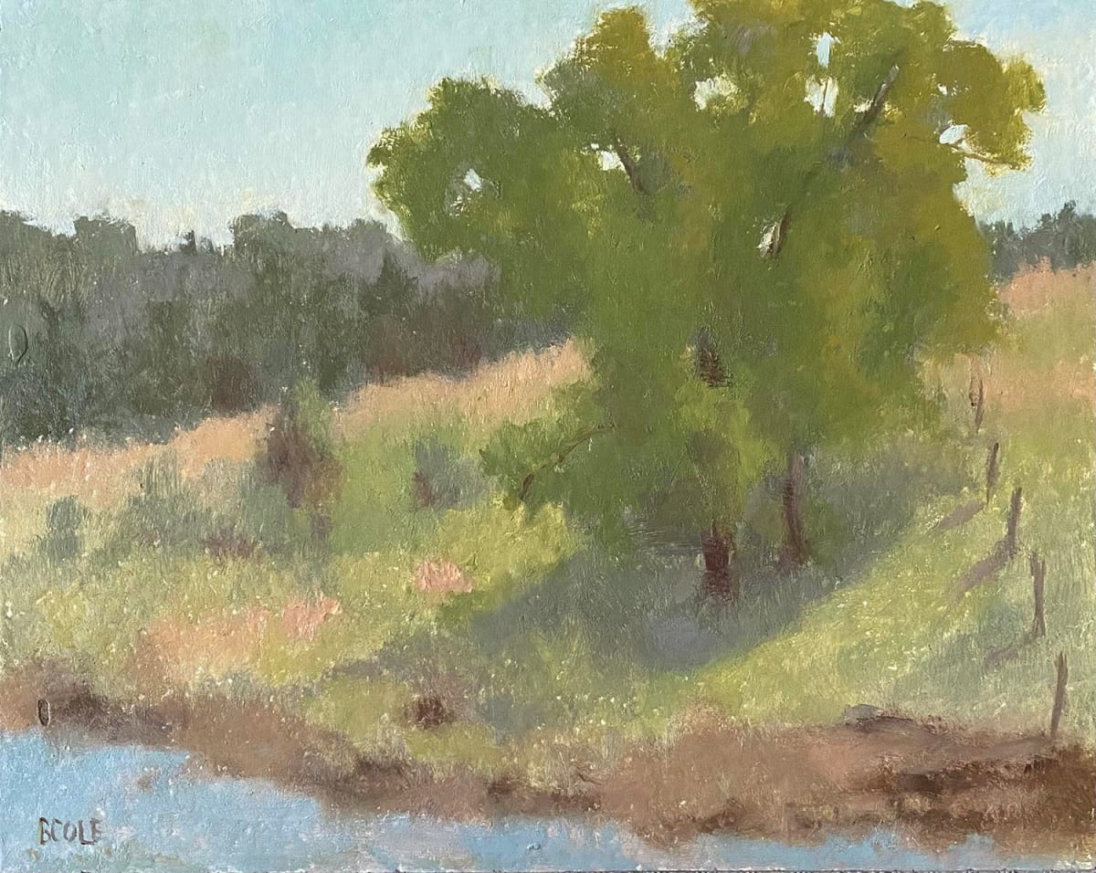 Paint Niobrara As Seen At Midday by Beth Cole 