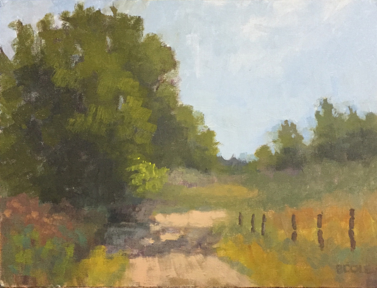 Plein Air Boulder by Beth Cole 