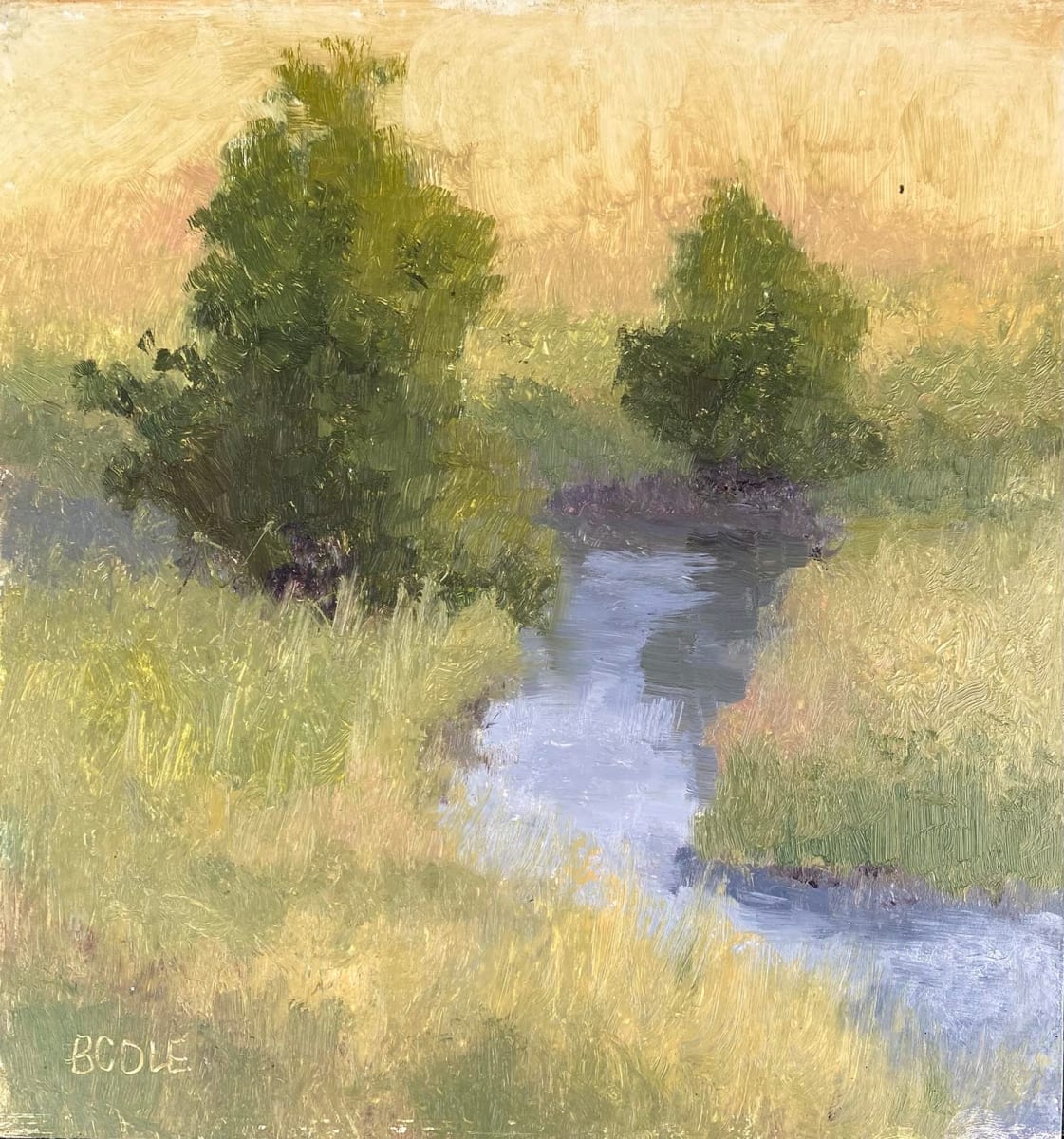 Paint Niobrara Quiet Beauty by Beth Cole 