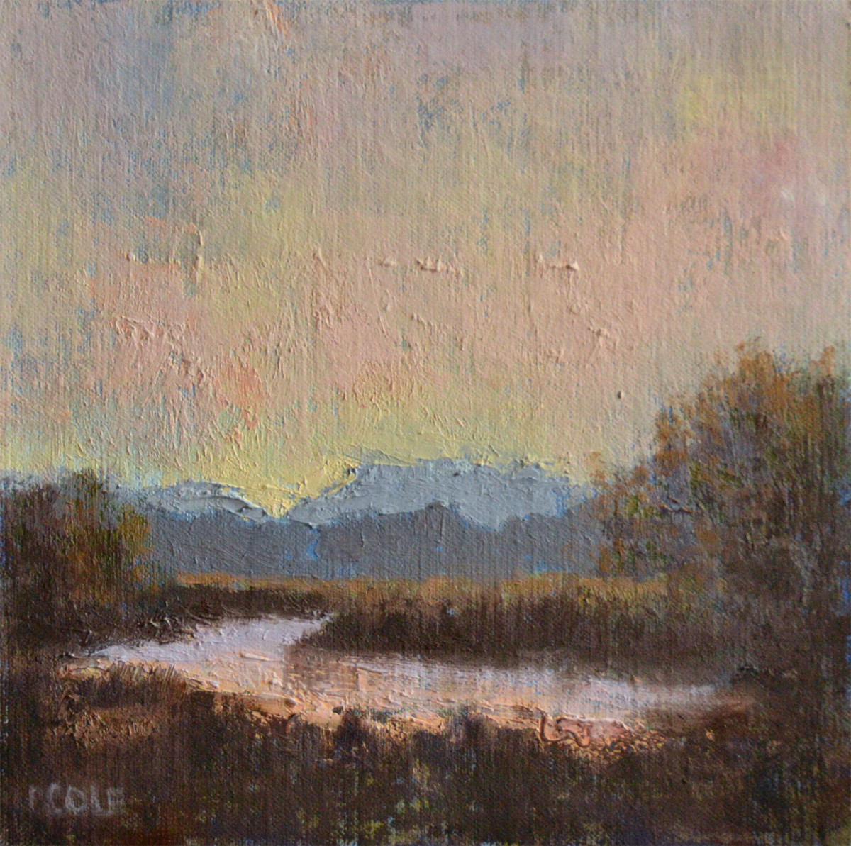 Quietly by Beth Cole 