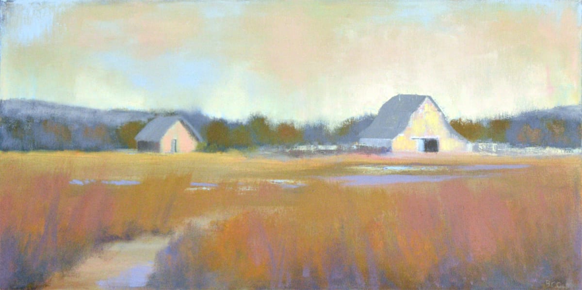 Sandhills Barn by Beth Cole, Image 1.
